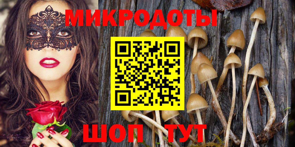 Губкин  наркотики  Вход с VPN  Псилоцибиновые грибы мицелий 